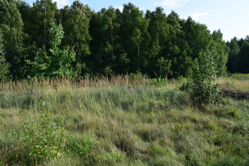 DZIAŁKA BUDOWLANA, NAGOSZYN, 20ar, IDEALNA LOKALIZACJA
