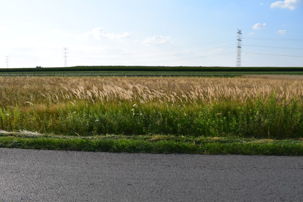 DZIAŁKA BUDOWLANA, NAGOSZYN, 20ar, IDEALNA LOKALIZACJA