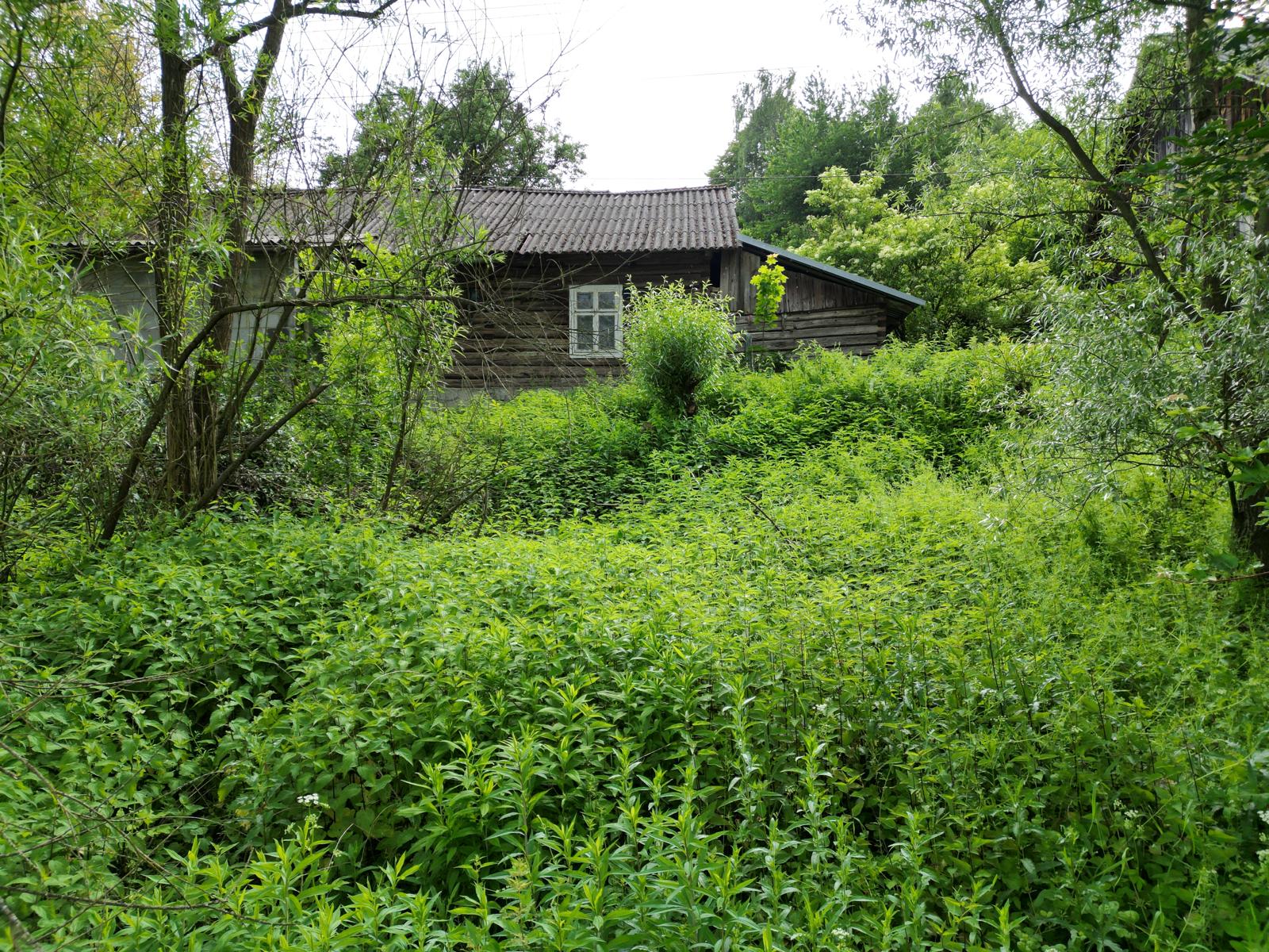 Działka budowlana 40 arów | Siedliska-Bogusz