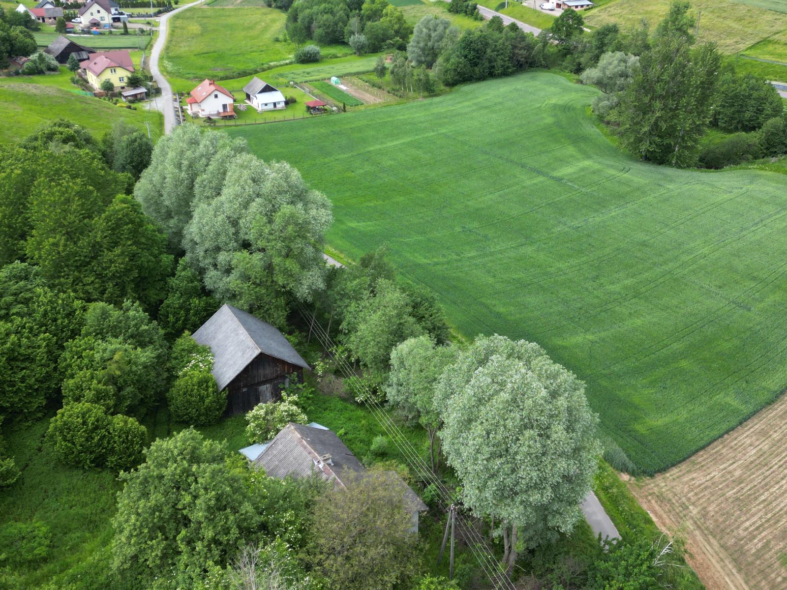 Działka budowlana 40 arów | Siedliska-Bogusz