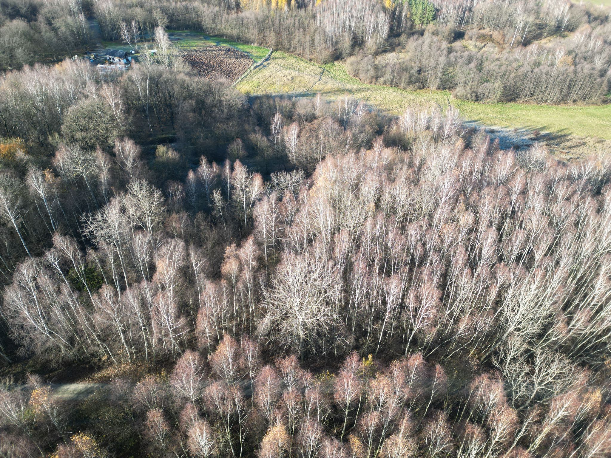 Działka budowlana 3502m², spokojna okolica | Mała (gm. Ropczyce)