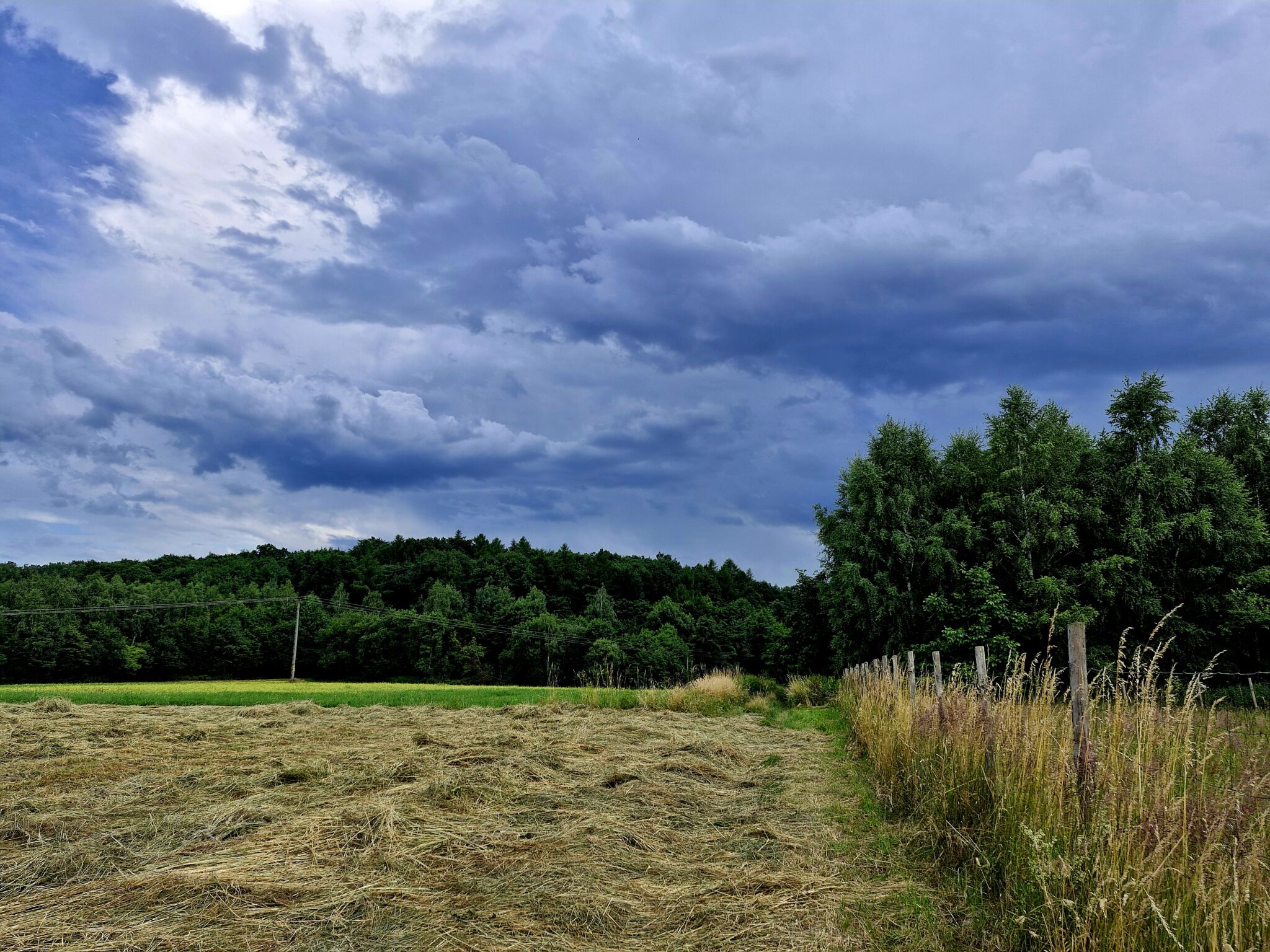 DZIAŁKI BUDOWLANE, INWESTYCYJNE, LATOSZYN, GMINA DĘBICA, 30 AR