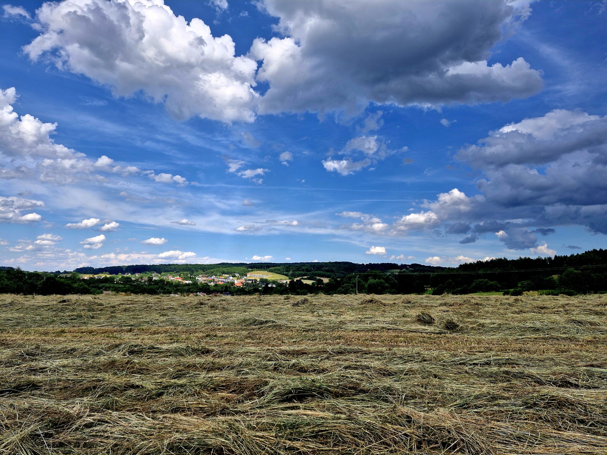 DZIAŁKI BUDOWLANE, INWESTYCYJNE, LATOSZYN, GMINA DĘBICA, 30 AR