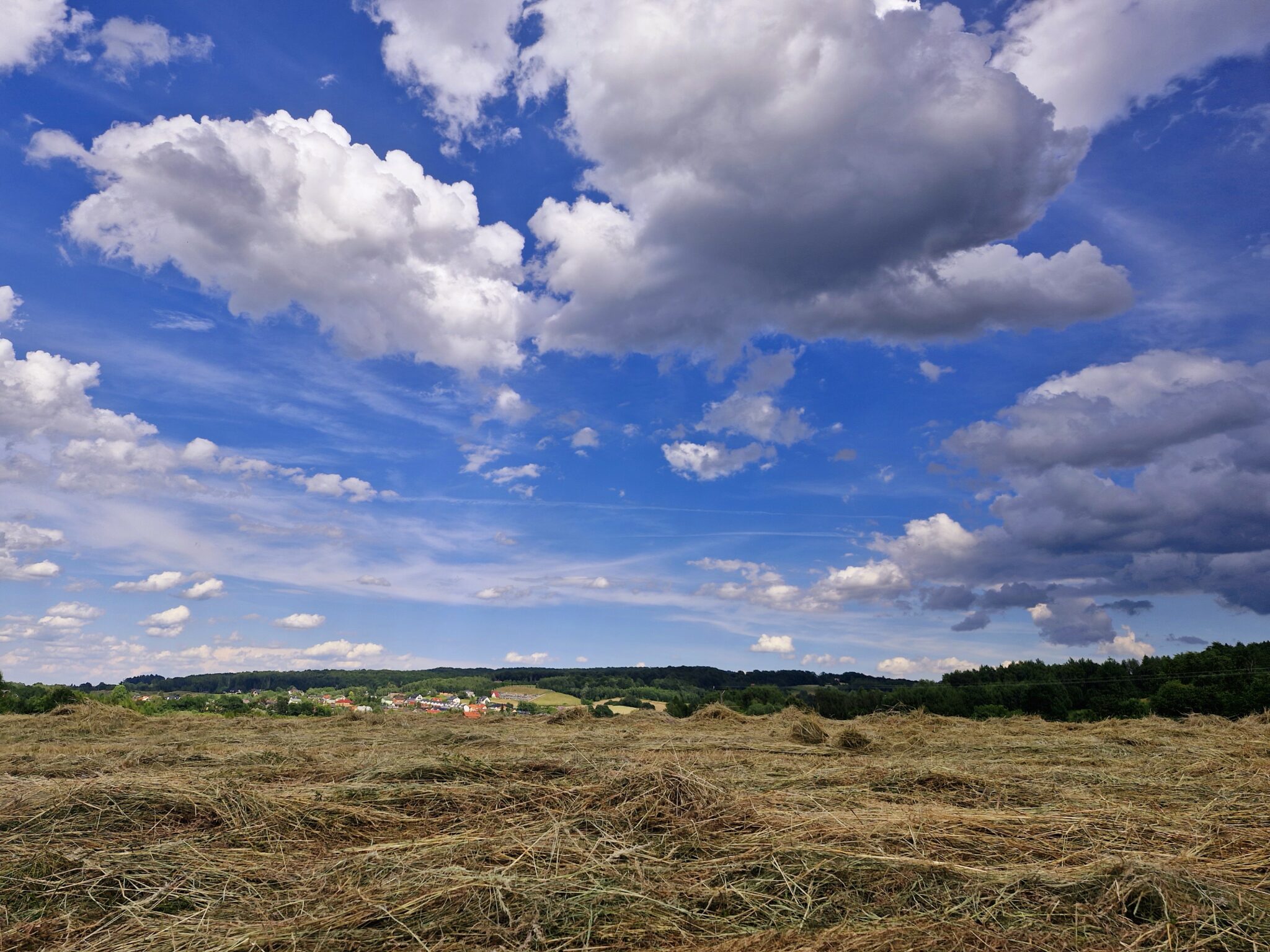 DZIAŁKI BUDOWLANE, INWESTYCYJNE, LATOSZYN, GMINA DĘBICA, 30 AR