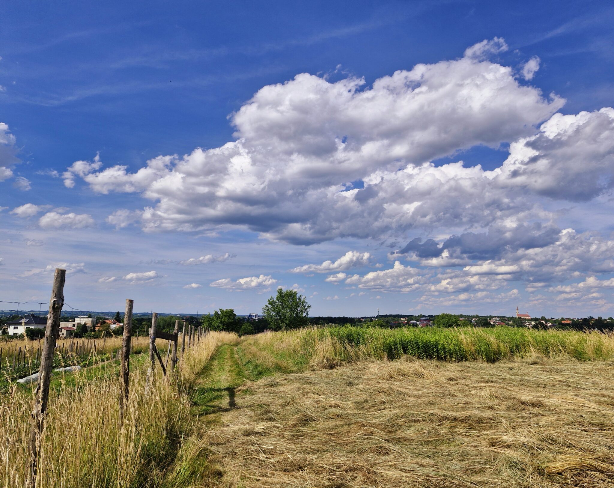 DZIAŁKI BUDOWLANE, INWESTYCYJNE, LATOSZYN, GMINA DĘBICA, 30 AR