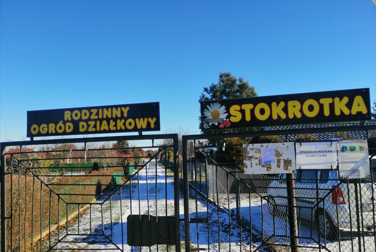 DOMEK CAŁOROCZNY NA DZIAŁCE ROD ” STOKROTKA” W DĘBICY