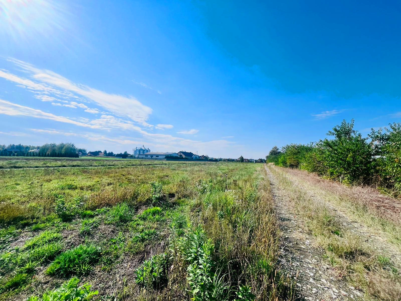 DZIAŁKI BUDOWLANE Z WYDANYMI WARUNKAMI ZABUDOWY, 10-11 AR, ŻYRAKÓW