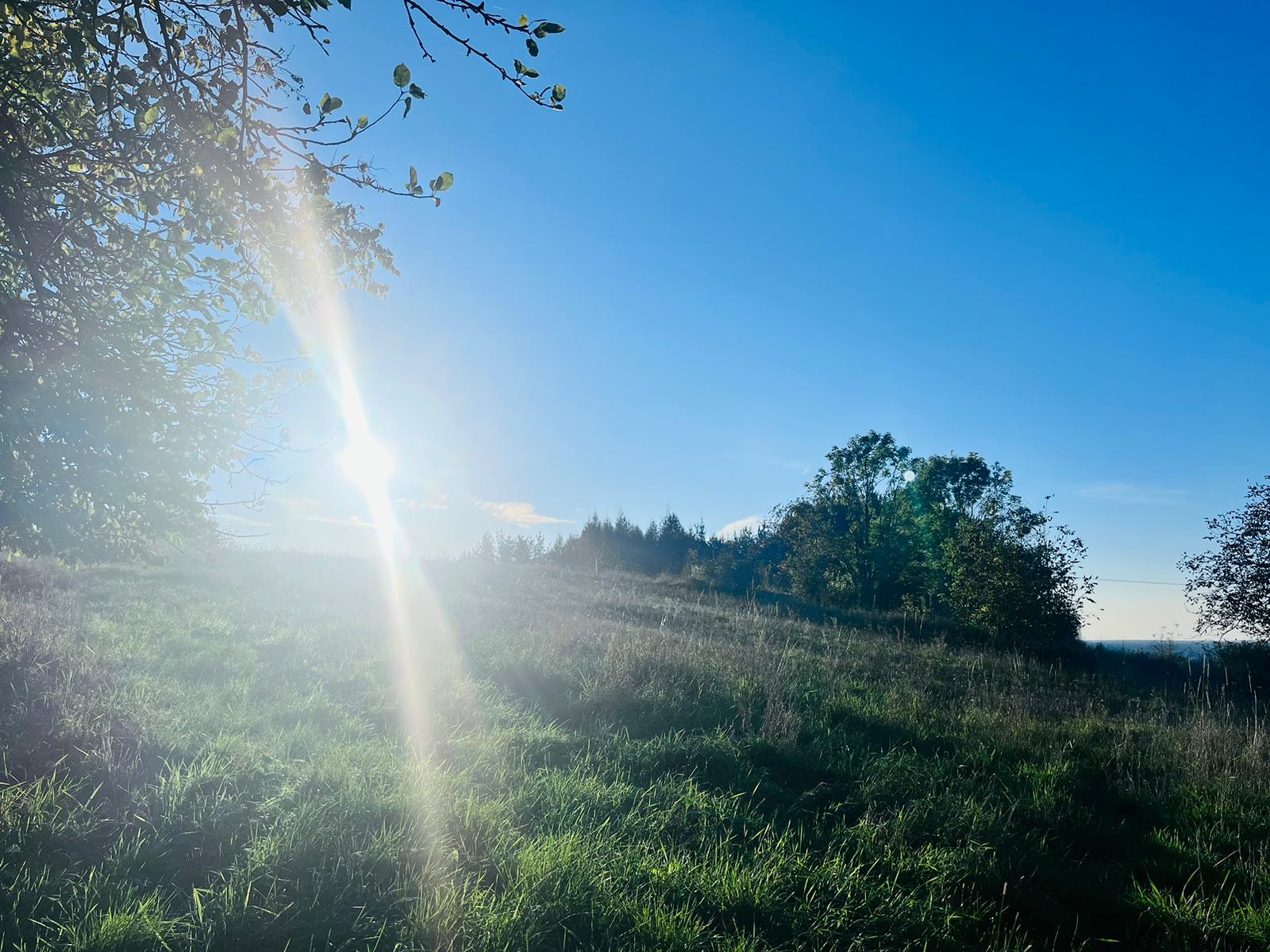 DZIAŁKA BUDOWLANA 11 AR, PODGRODZIE