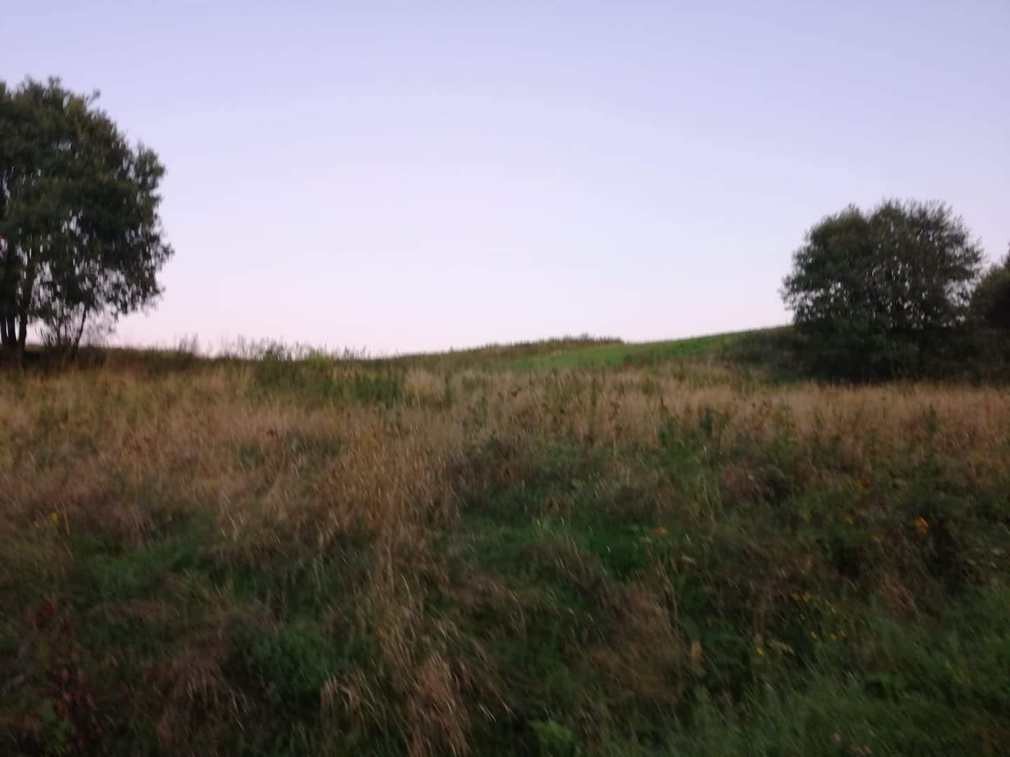 Działka na sprzedaż, 58 ar
