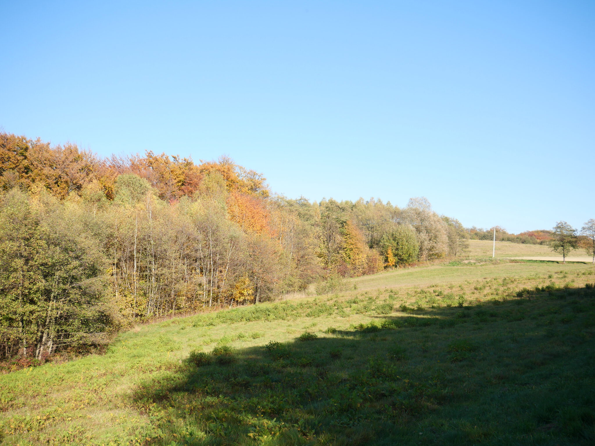 Działka na sprzedaż, 1,4453 ha, Głobikowa