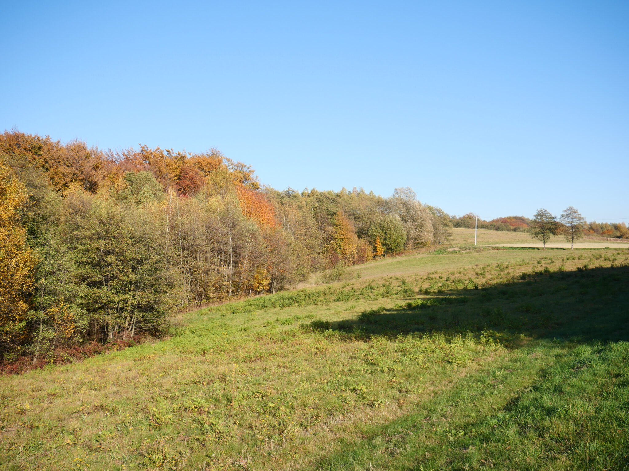 Działka na sprzedaż, 1,4453 ha, Głobikowa