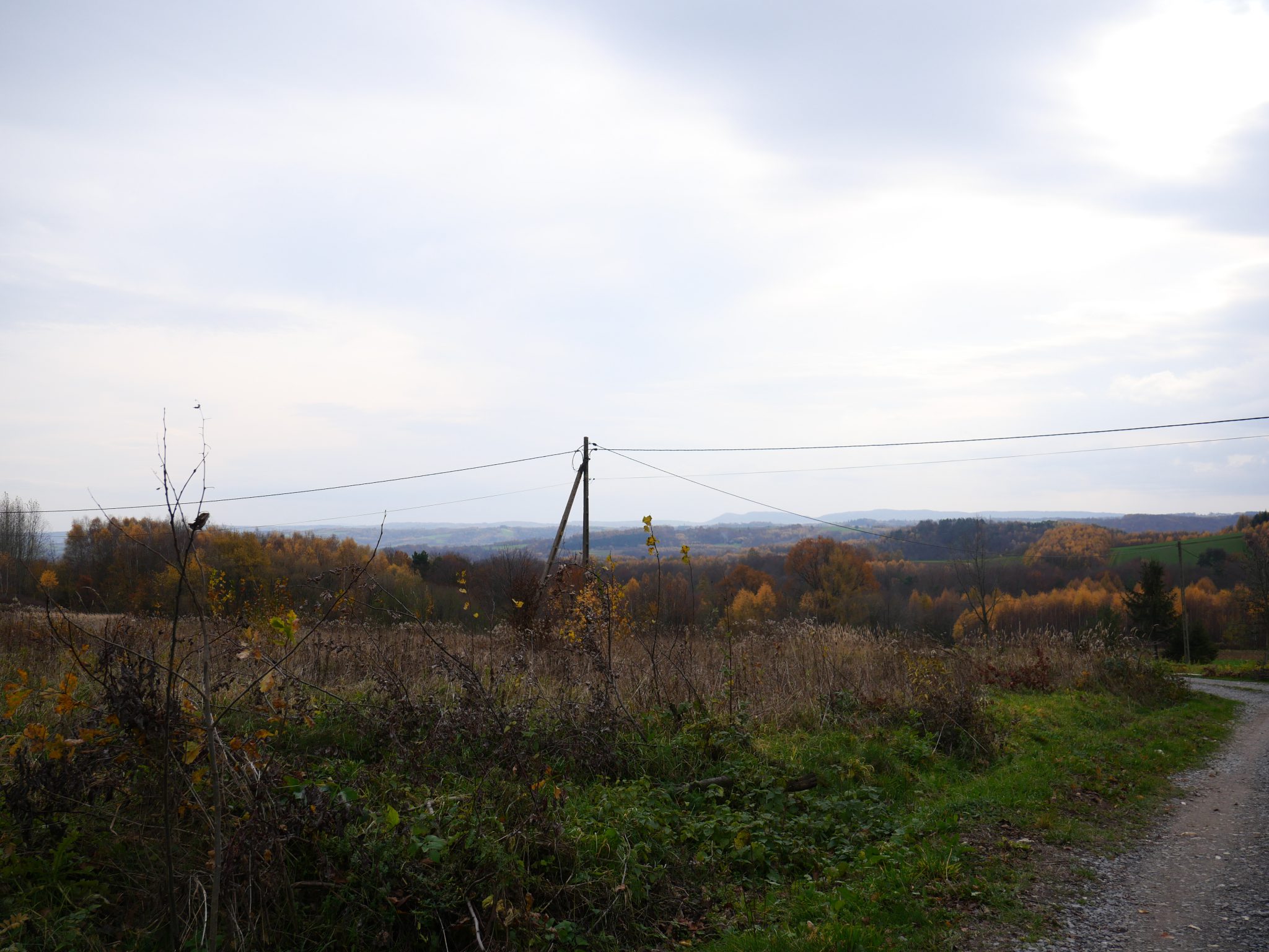 Widokowe działki budowlane, Stasiówka/Niedźwiada, wydane warunki zabudowy