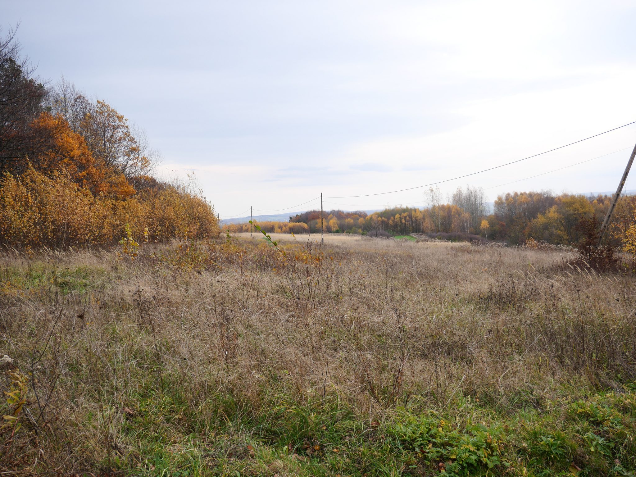 Widokowe działki budowlane, Stasiówka/Niedźwiada, wydane warunki zabudowy