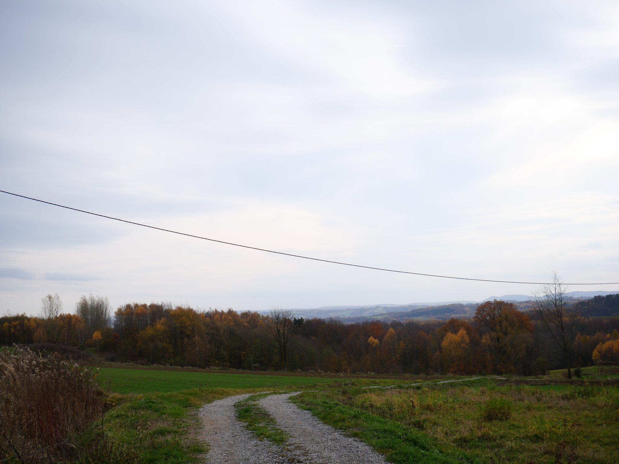 Widokowe działki budowlane, Stasiówka/Niedźwiada, wydane warunki zabudowy