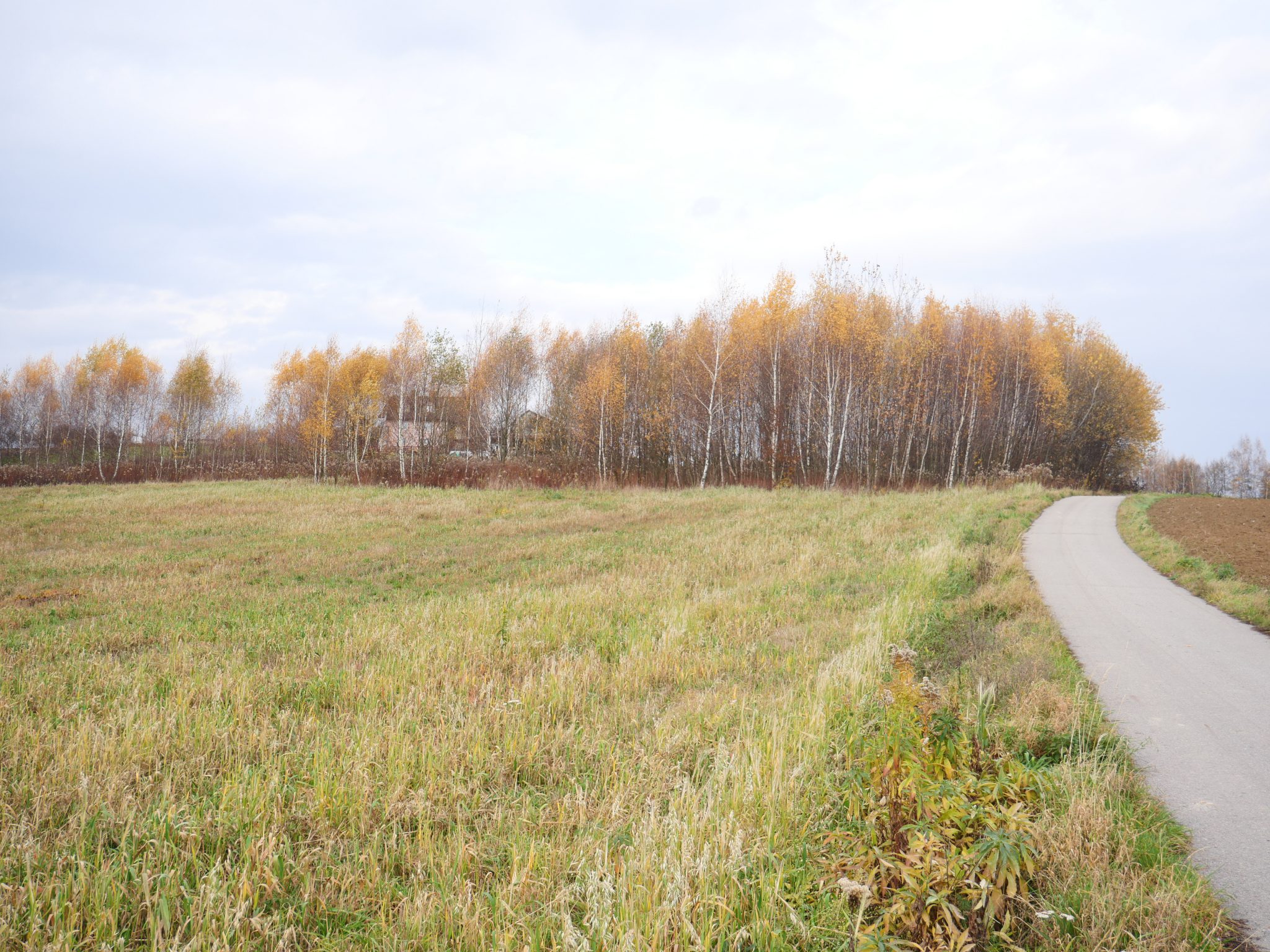 Widokowe działki budowlane, Mała Granice