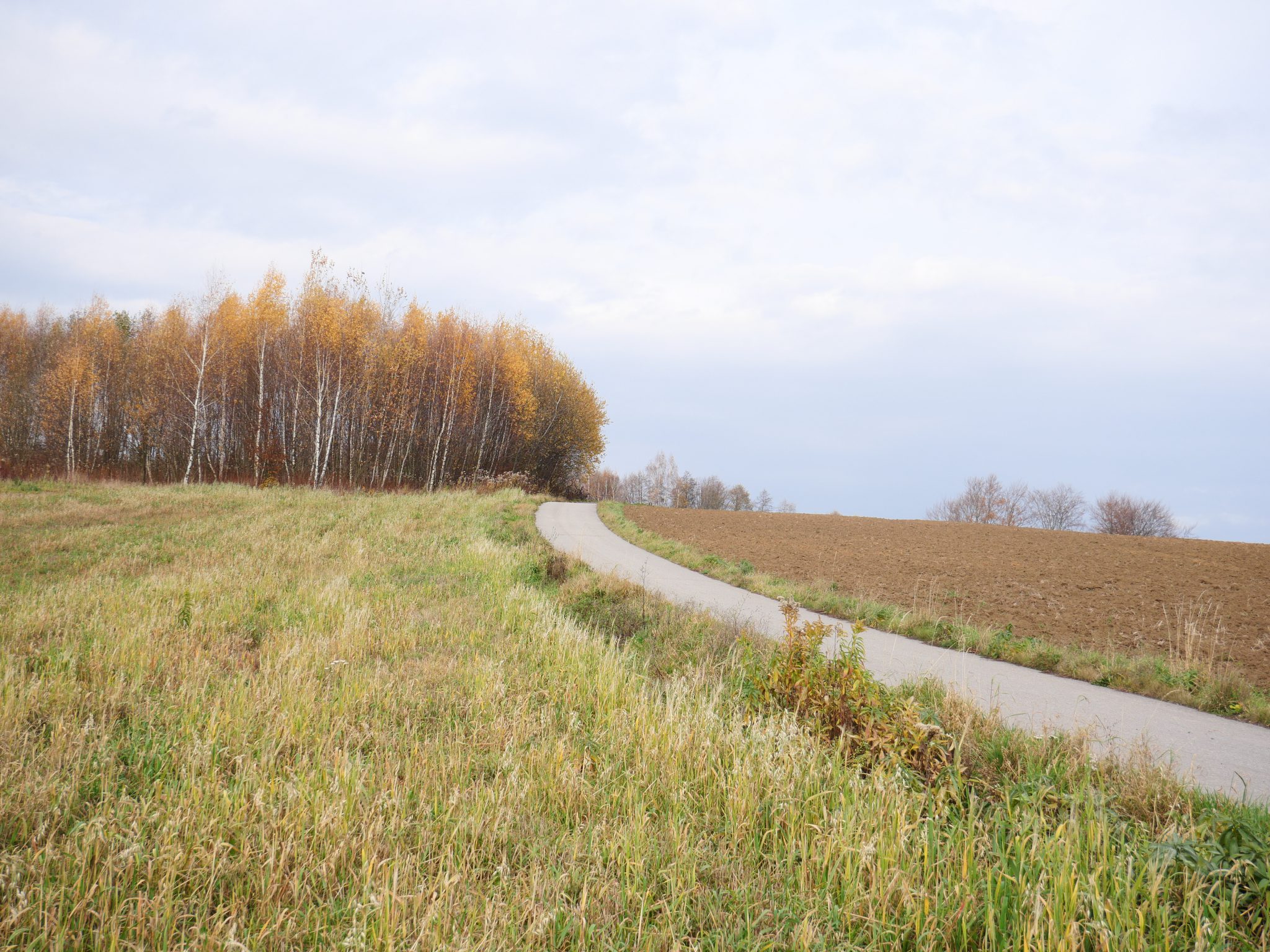 Widokowe działki budowlane, Mała Granice
